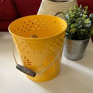 Pineapple Pail Bucket